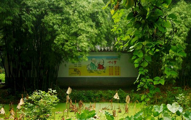 南昌畫墻繪,南昌鄉村墻繪,南昌幼兒園墻畫手繪,南昌壁畫手繪